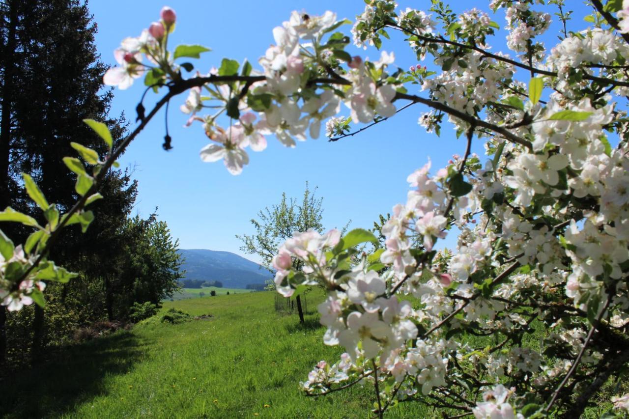 Moderne Ferienwohnung Mit Eigenem Garten Und Traumhaften Blick Wilhelmsthal Kültér fotó